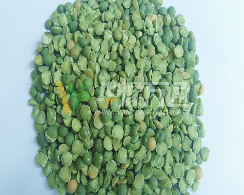<a href=http://www.lg-shop.cn/product/8/ target=_blank class=infotextkey>豌豆脫皮機(jī)</a>